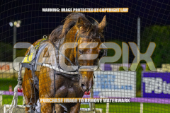 2026_PACEPIX_GP25082026_RACE6_HezTheBoss_WIN_WEB-31