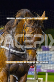 2026_PACEPIX_GP25082026_RACE6_HezTheBoss_WIN_WEB-32