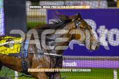 2026_PACEPIX_GP25082026_RACE6_HezTheBoss_WIN_WEB-6