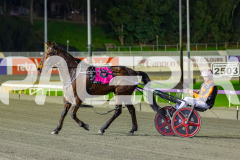 2026_PACEPIX_GP30062026_Race6_HillviewBondi_WIN_WEB-8
