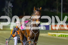 2026_PACEPIX_GP30062026_Race6_HillviewBondi_WIN_WEB-9