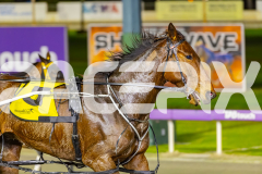 2025_PACEPIX_GP02092025_RACE6_HillviewBondi_WIN_WEB-12
