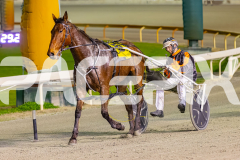 2025_PACEPIX_GP02092025_RACE6_HillviewBondi_WIN_WEB-13