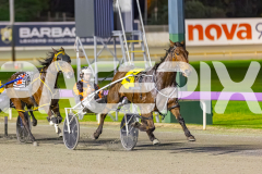 2025_PACEPIX_GP02092025_RACE6_HillviewBondi_WIN_WEB-2