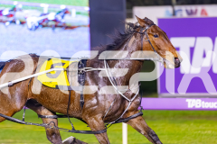 2025_PACEPIX_GP02092025_RACE6_HillviewBondi_WIN_WEB-3