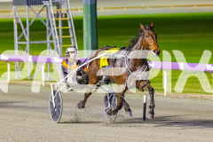 2025_PACEPIX_GP02092025_RACE6_HillviewBondi_WIN_WEB-5