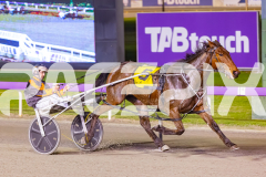2025_PACEPIX_GP02092025_RACE6_HillviewBondi_WIN_WEB-8