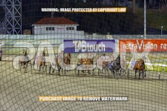 2026_PACEPIX_GP16102026_Race6_HoldTheAmmo_WIN_WEB-1