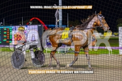 2026_PACEPIX_GP16102026_Race6_HoldTheAmmo_WIN_WEB-12