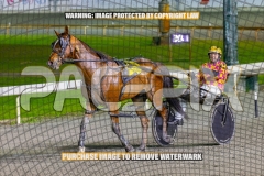 2026_PACEPIX_GP16102026_Race6_HoldTheAmmo_WIN_WEB-7
