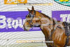 2026_PACEPIX_GP16102026_Race6_HoldTheAmmo_WIN_WEB-8