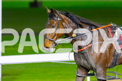 2026_PACEPIX_GP17072026_RACE6_HotlyPursured_WIN_WEB-12