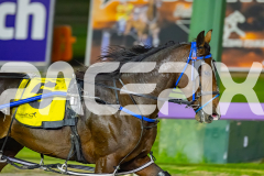 2026_PACEPIX_GP10042026_RACE6_HungerStrike_WIN_WEB-12