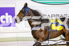 2026_PACEPIX_GP10042026_RACE6_HungerStrike_WIN_WEB-14