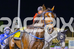 2026_PACEPIX_GP10042026_RACE6_HungerStrike_WIN_WEB-16