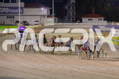 2025_PACEPIX_GP02052025_Race6_ImTheBlackFlash_WIN_WEB-13
