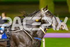 2025_PACEPIX_GP02052025_Race6_ImTheBlackFlash_WIN_WEB-17
