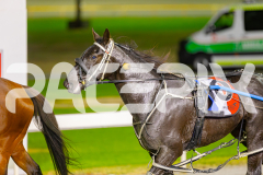 2025_PACEPIX_GP02052025_Race6_ImTheBlackFlash_WIN_WEB-20