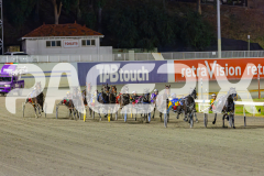 2025_PACEPIX_GP02052025_Race6_ImTheBlackFlash_WIN_WEB-4