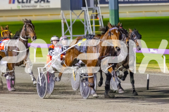 2024_PACEPIX_GP23012024_Race1_TheWildcard_WEB-10