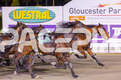 2024_PACEPIX_GP23012024_Race1_TheWildcard_WEB-13