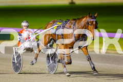 2024_PACEPIX_GP23012024_Race1_TheWildcard_WEB-14