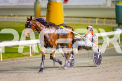 2024_PACEPIX_GP23012024_Race1_TheWildcard_WEB-16