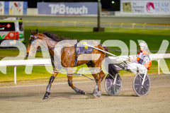2024_PACEPIX_GP23012024_Race1_TheWildcard_WEB-17