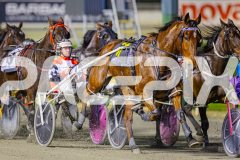 2024_PACEPIX_GP23012024_Race1_TheWildcard_WEB-6
