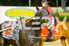 2025_PACEPIX_GP20052025_Race6_JillMach_WIN_WEB-19