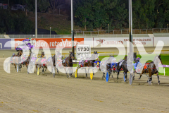 2025_PACEPIX_GP20052025_Race6_JillMach_WIN_WEB-3
