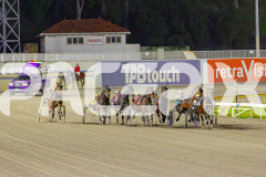 2025_PACEPIX_GP13062025_RACE6_JoeyJames_WIN_WEB-1