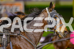 2025_PACEPIX_GP13062025_RACE6_JoeyJames_WIN_WEB-10