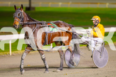 2025_PACEPIX_GP13062025_RACE6_JoeyJames_WIN_WEB-12