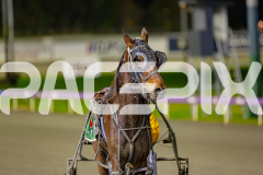2025_PACEPIX_GP13062025_RACE6_JoeyJames_WIN_WEB-14