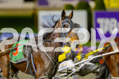 2025_PACEPIX_GP13062025_RACE6_JoeyJames_WIN_WEB-8