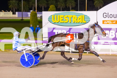 2025_PACEPIX_GP16092025_Race6_JoltedCharm_WIN_WEB-11