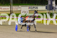 2025_PACEPIX_GP16092025_Race6_JoltedCharm_WIN_WEB-13