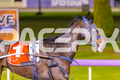 2025_PACEPIX_GP16092025_Race6_JoltedCharm_WIN_WEB-14