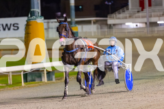 2025_PACEPIX_GP16092025_Race6_JoltedCharm_WIN_WEB-15