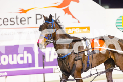 2025_PACEPIX_GP16092025_Race6_JoltedCharm_WIN_WEB-17
