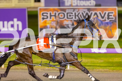 2025_PACEPIX_GP16092025_Race6_JoltedCharm_WIN_WEB-4