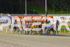 2025_PACEPIX_GP16092025_Race6_JoltedCharm_WIN_WEB-5