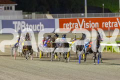 2025_PACEPIX_GP16092025_Race6_JoltedCharm_WIN_WEB-6