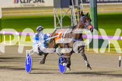 2025_PACEPIX_GP16092025_Race6_JoltedCharm_WIN_WEB-8