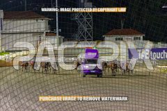 2026_Pacepix_GP18082026_Race6_Jordano_WIN_WEB-1