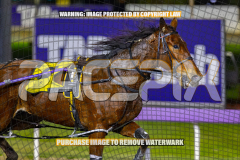 2026_Pacepix_GP18082026_Race6_Jordano_WIN_WEB-13