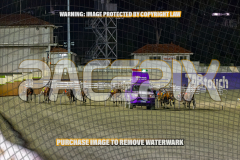 2026_Pacepix_GP18082026_Race6_Jordano_WIN_WEB-2