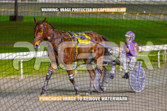 2026_Pacepix_GP18082026_Race6_Jordano_WIN_WEB-29
