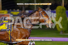 2026_Pacepix_GP18082026_Race6_Jordano_WIN_WEB-5
